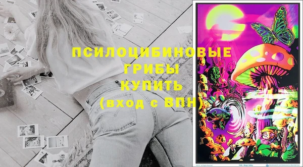 MESCALINE Надым
