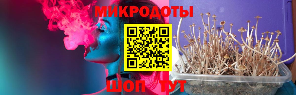 Галлюциногенные грибы мицелий Канаш
